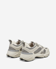 Alder Sneaker